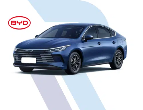 BYD King